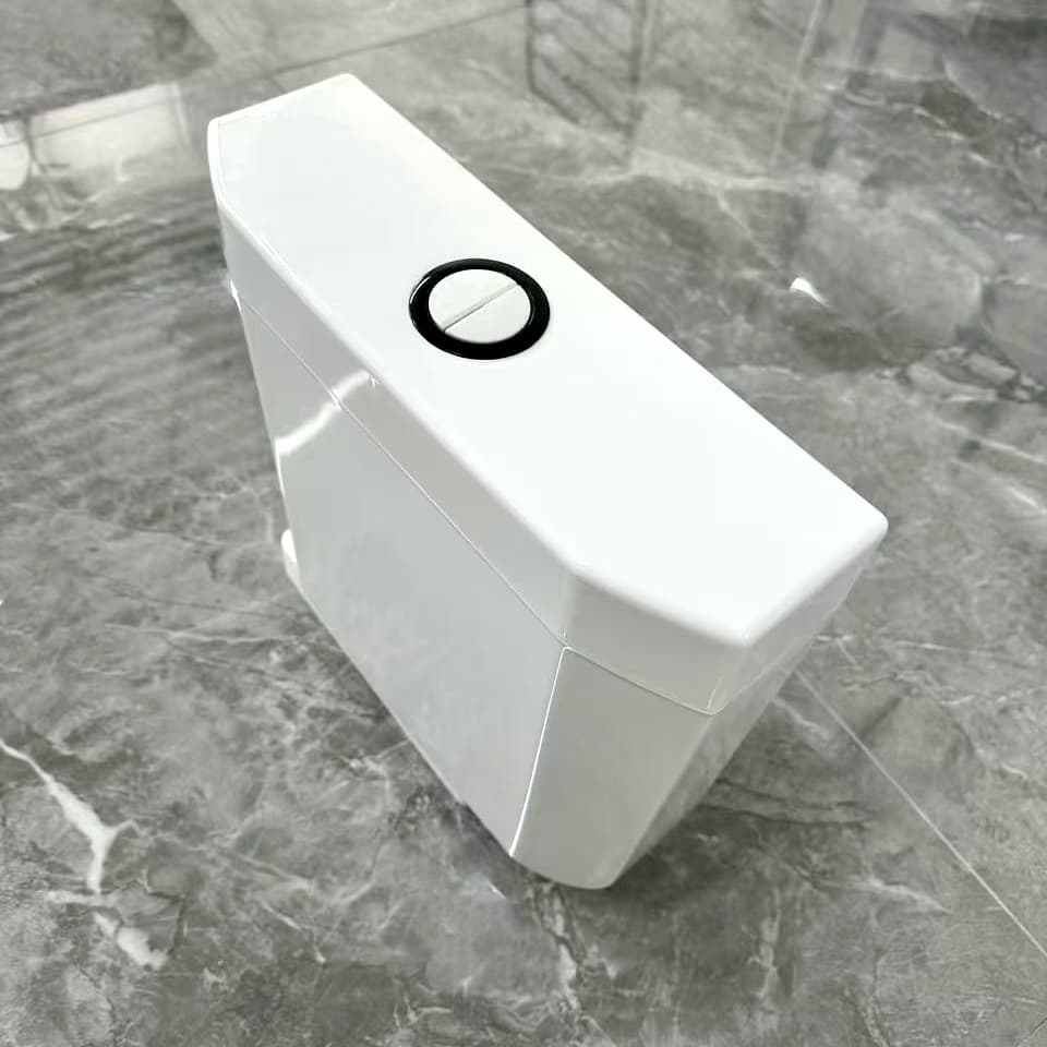 Enhancing space with wall-mounted exposed cisterns