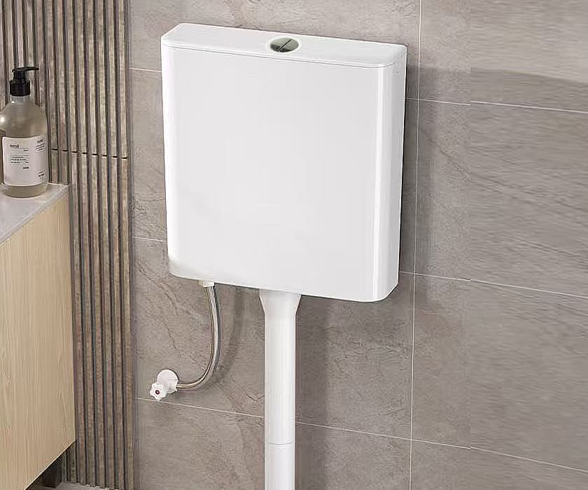 Water closet with flush mechanism