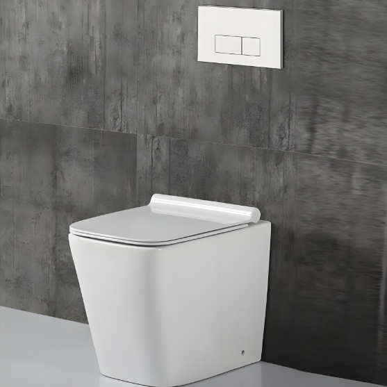 Pneumatic flush toilet panels with customizable designs